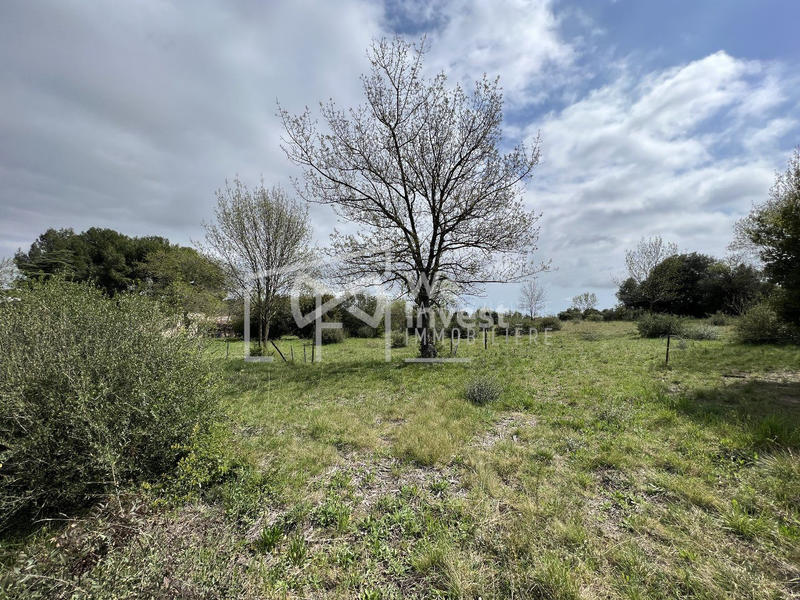 Terrain - 880 m²
