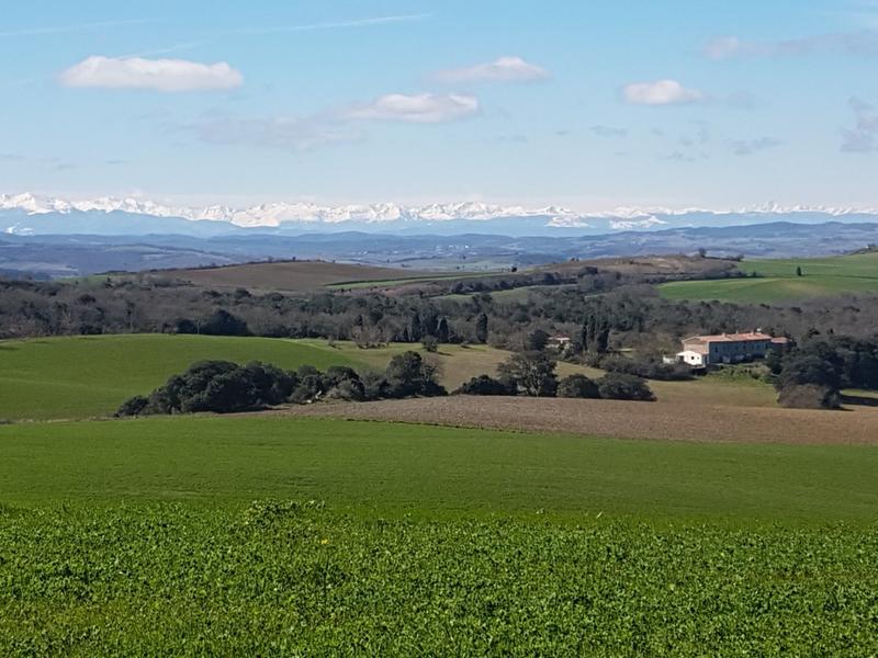 Maison de domaine - 575 m² - 30 pièces