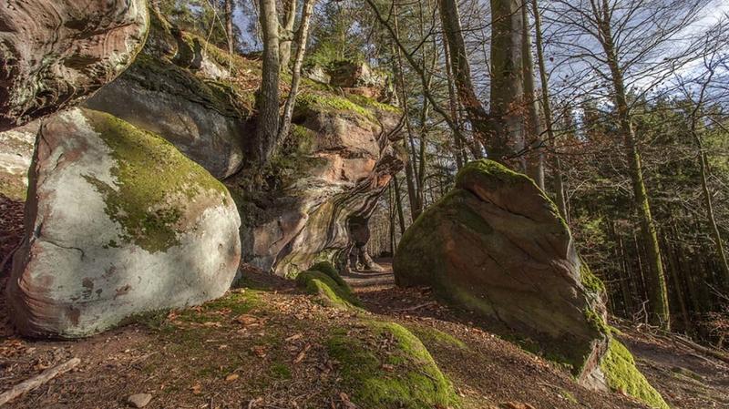 Club Vosgien : la Petite Pierre
