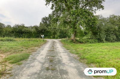 Terrain de loisirs - 982 m²