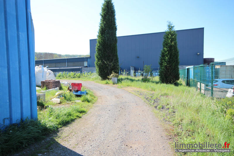 Local d'activités - 600 m²