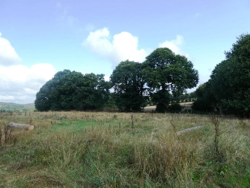 Longère - 200 m² - 9 pièces