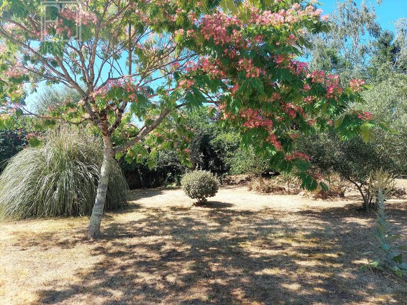 Maison - 216 m² - 6 pièces