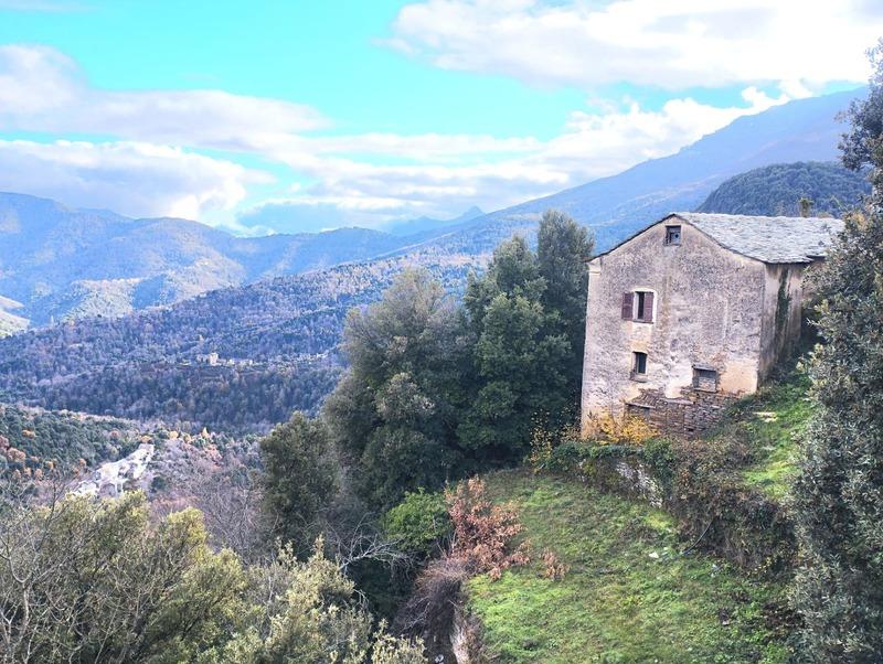 Maison en pierre - 120 m² - 7 pièces