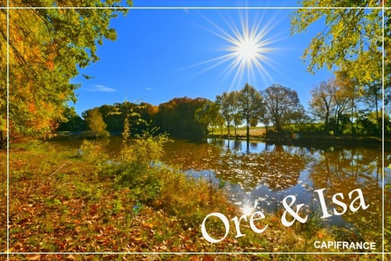 Terrain - 49 655 m²