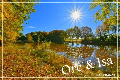 Terrain - 49 655 m²