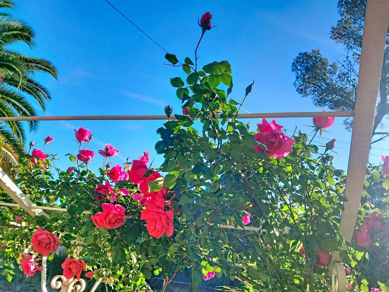 Maison de maîtres - 113 m² - 5 pièces