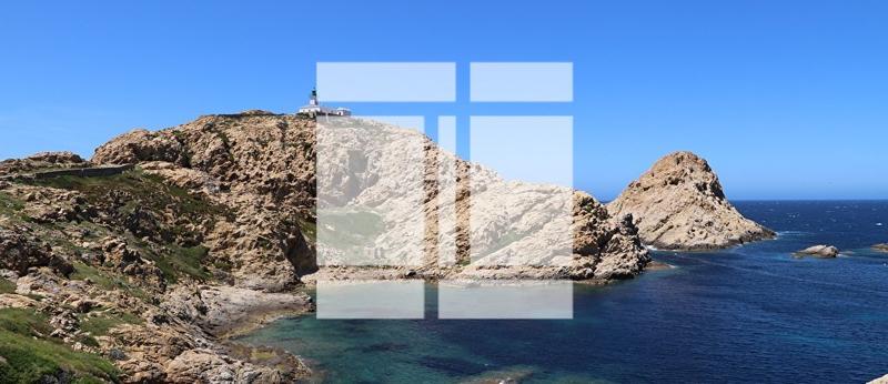 Appartement - 26 m² - 1 pièce