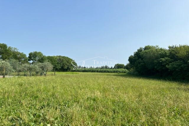 Terrain - 637 m²