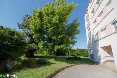 Appartement - 30 m² - 1 pièce