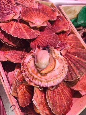 Chemin des Pêcheurs