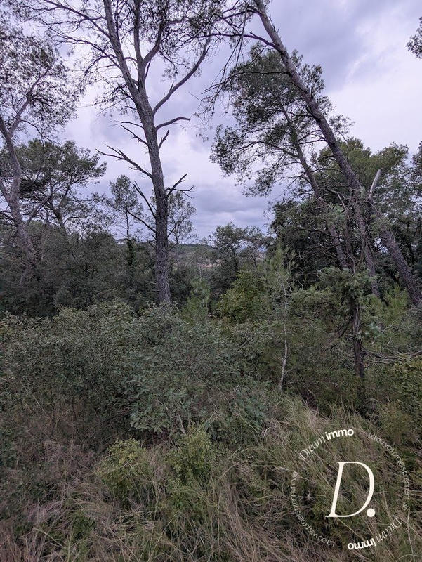 Terrain agricole - 2 000 m²