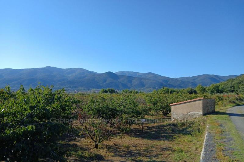 Terrain agricole - 7 121 m²