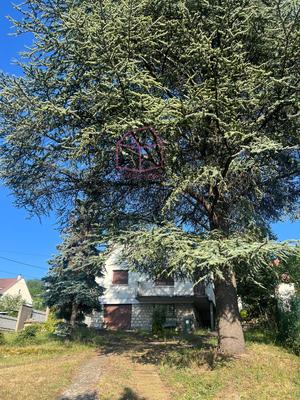 Appartement - 12 m² - 1 pièce