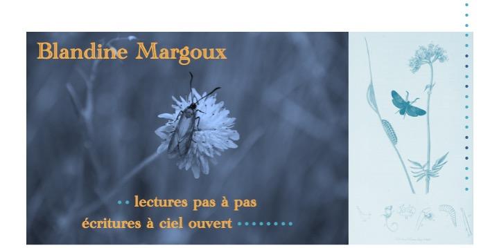 Les zozios • Atelier d'écriture créative