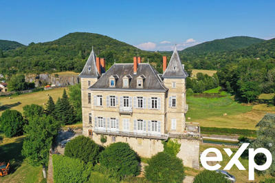 Château - 460 m² - 14 pièces