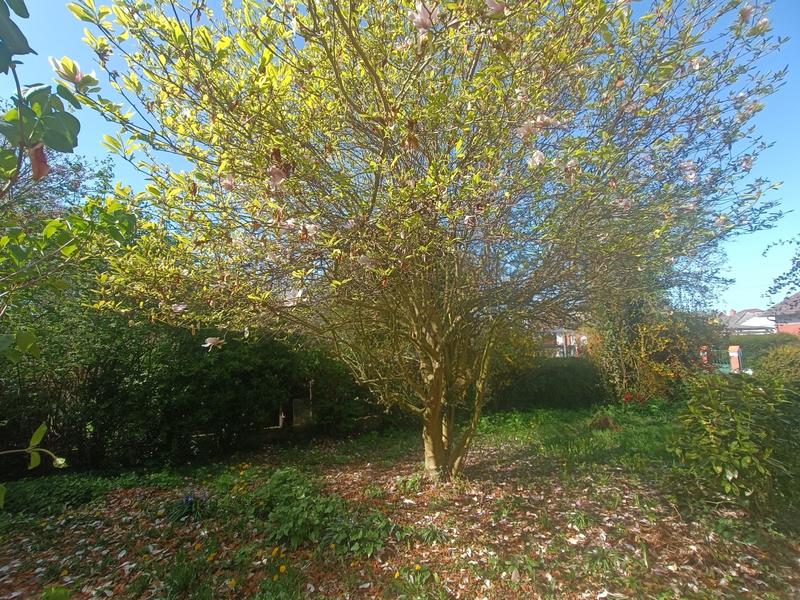 Maison - 134 m² - 6 pièces