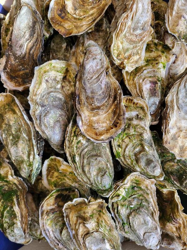 La Marée Montalbanaise