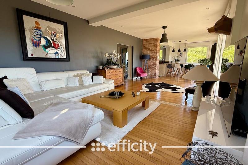 Maison - 383 m² - 12 pièces