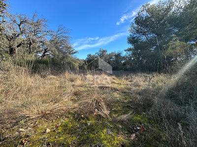 Terrain - 47 000 m²