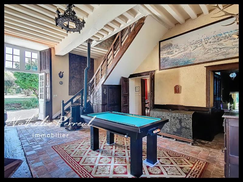 Château - 529 m² - 18 pièces