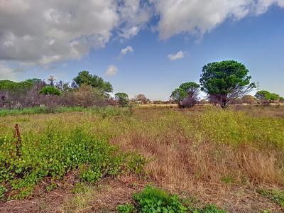 Terrain agricole - 3 604 m²