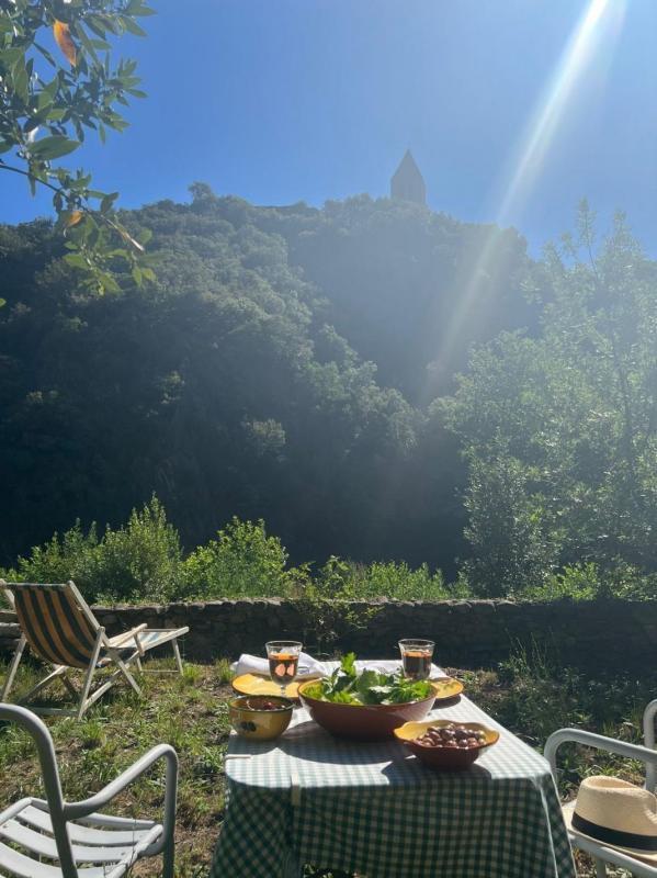 Maison - 600 m² - 19 pièces