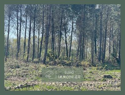 Terrain agricole - 55 394 m²