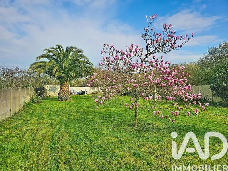 Maison - 101 m² - 5 pièces