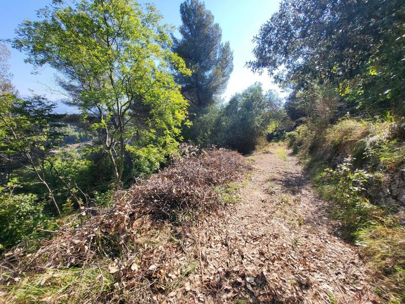 Terrain - 16 415 m²