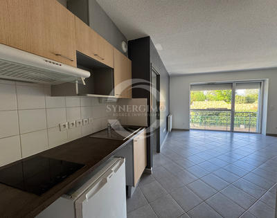 Appartement - 53 m² - 2 pièces