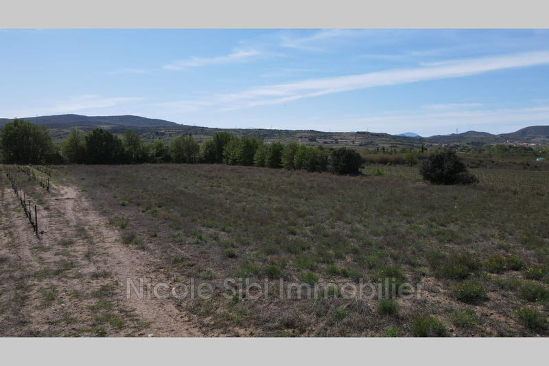 Terrain agricole - 19 998 m²