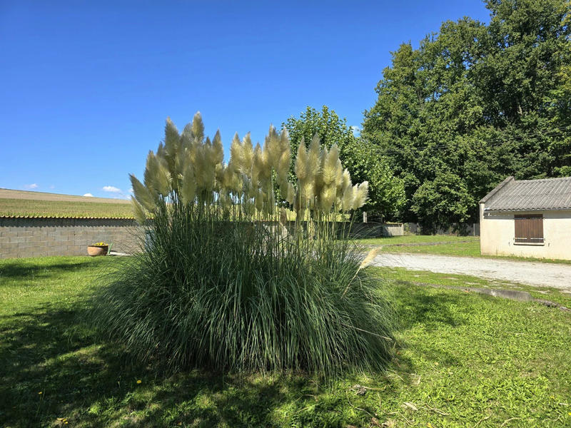 Maison - 315 m² - 10 pièces