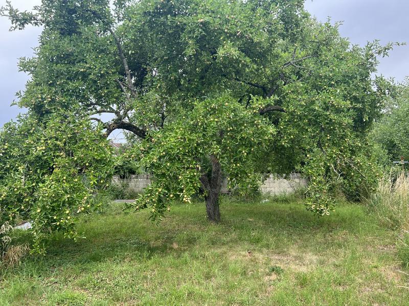 Maison - 62 m² - 3 pièces