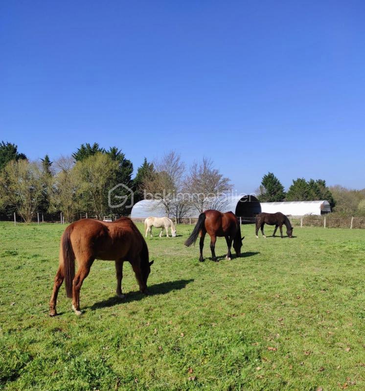 Propriété - 266 m² - 12 pièces