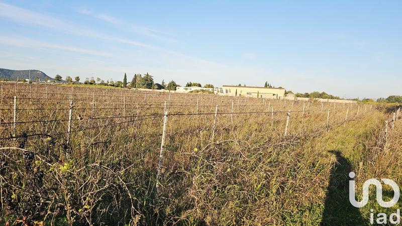 Terrain agricole - 4 295 m²