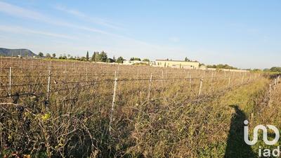 Terrain agricole - 4 295 m²