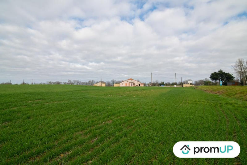 Terrain agricole - 6 000 m²