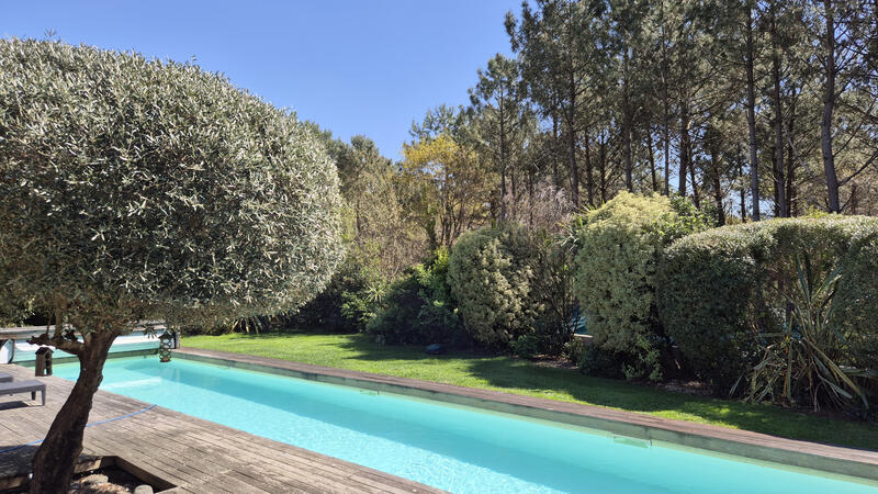 Maison - 330 m² - 8 pièces