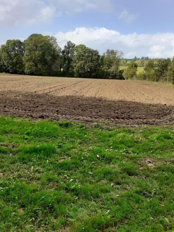 Terrain - 13 700 m²