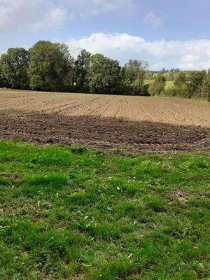 Terrain - 13 700 m²