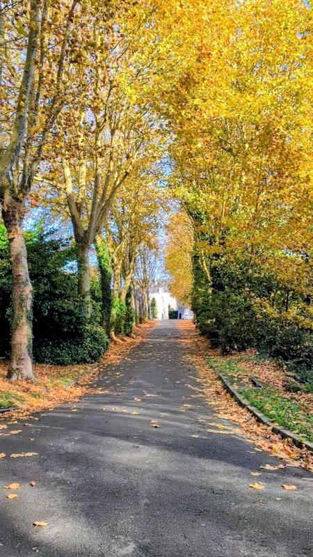 Château - 114 m² - 5 pièces