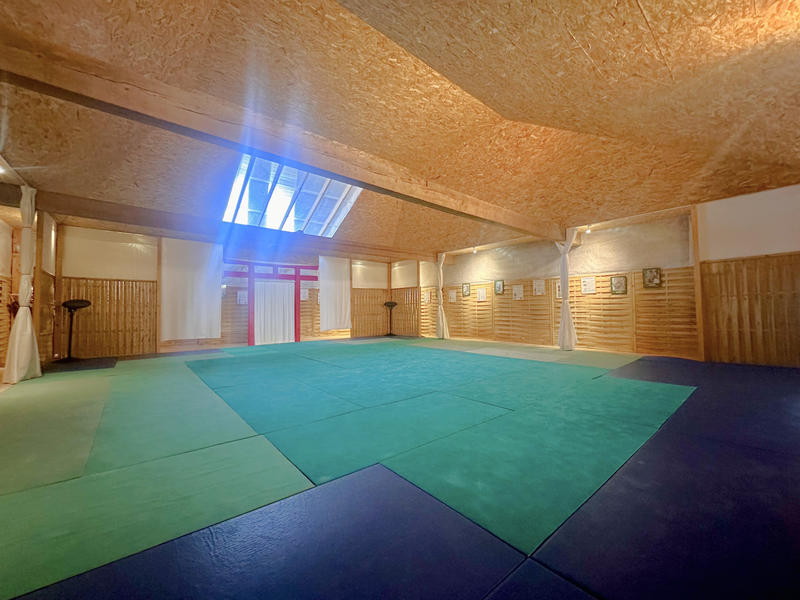 Propriété - 600 m² - 10 pièces