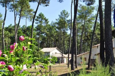 Villa - 39 m² - 3 pièces