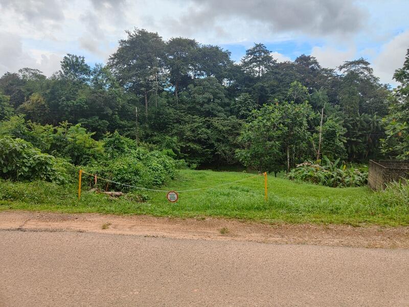 Terrain constructible - 2 000 m²