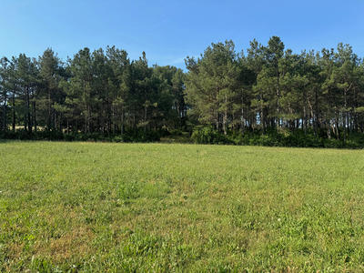 Maison - 270 m² - 7 pièces