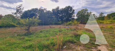 Terrain - 1 002 m²
