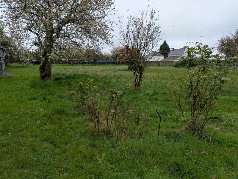 Maison - 80 m² - 3 pièces