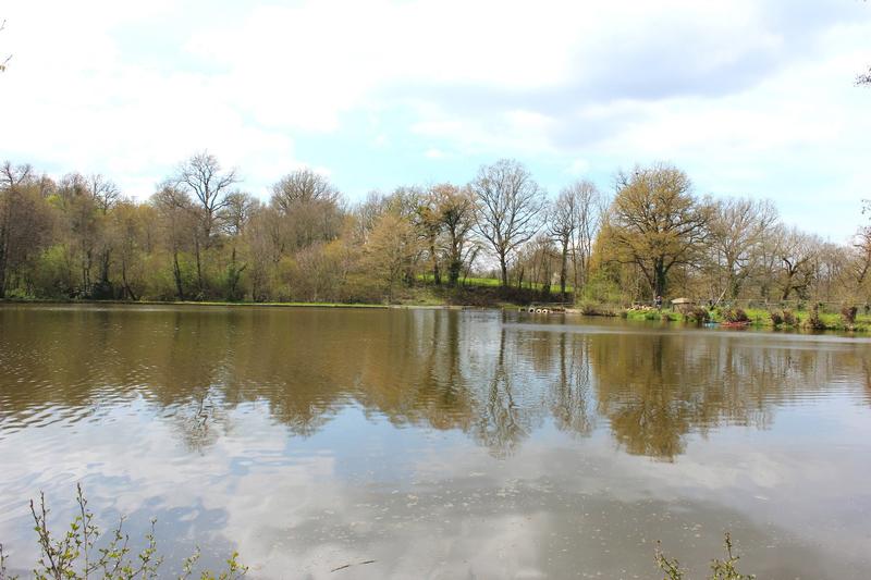 Propriété - 165 m² - 6 pièces