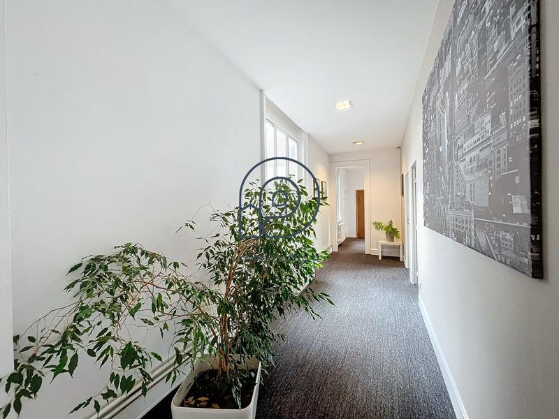 Bureau - 149 m²